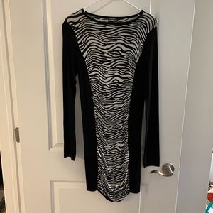 Express Zebra Sweater Dress